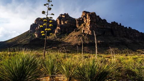 Bild zu Amerikas Nationalparks