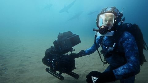 Image of Sharks Up Close With Bertie Gregory
