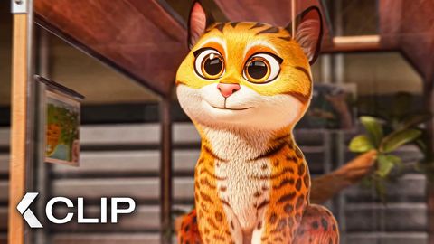 Image of Meet Maggie The Cat - Clip