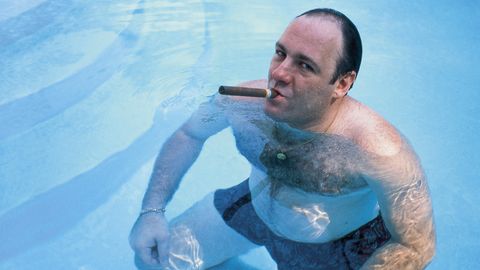 Image of Wise Guy: David Chase and The Sopranos