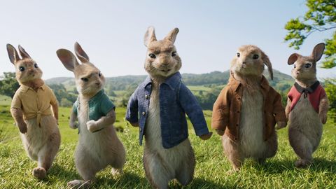 Image of Peter Rabbit 2: The Runaway