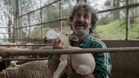 Image of Old Dog, New Tricks