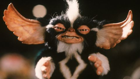 Bild zu Gremlins 2: Die Rückkehr der kleinen Monster