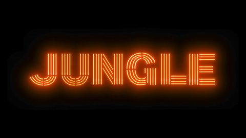 Bild zu Jungle