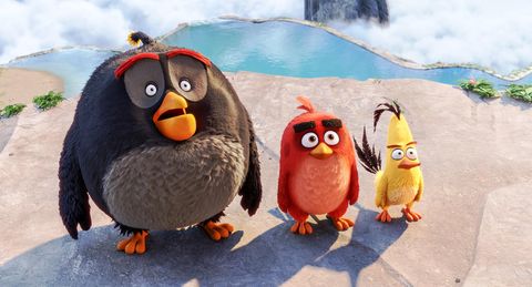 Image of The Angry Birds Movie