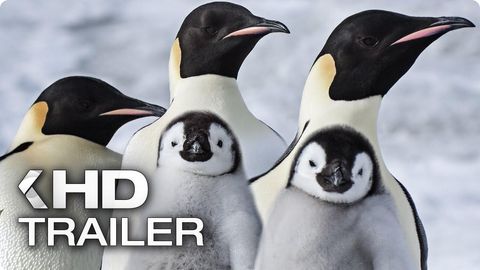 Bild zu Die Reise der Pinguine 2 <span>Trailer</span>